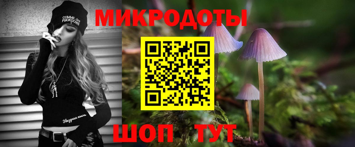 Псилоцибиновые грибы Cubensis Черкесск